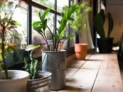پاکسازی و تصفیه هوای خانگی برای دوری از بیماری ها