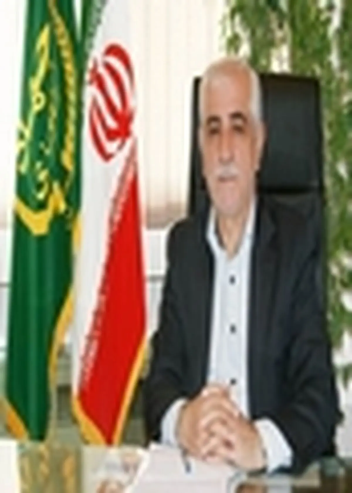 برداشت رتون در بیش از ۵۰ هزار هکتار از شالیزارهای مازندران