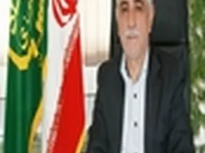 برداشت رتون در بیش از ۵۰ هزار هکتار از شالیزارهای مازندران