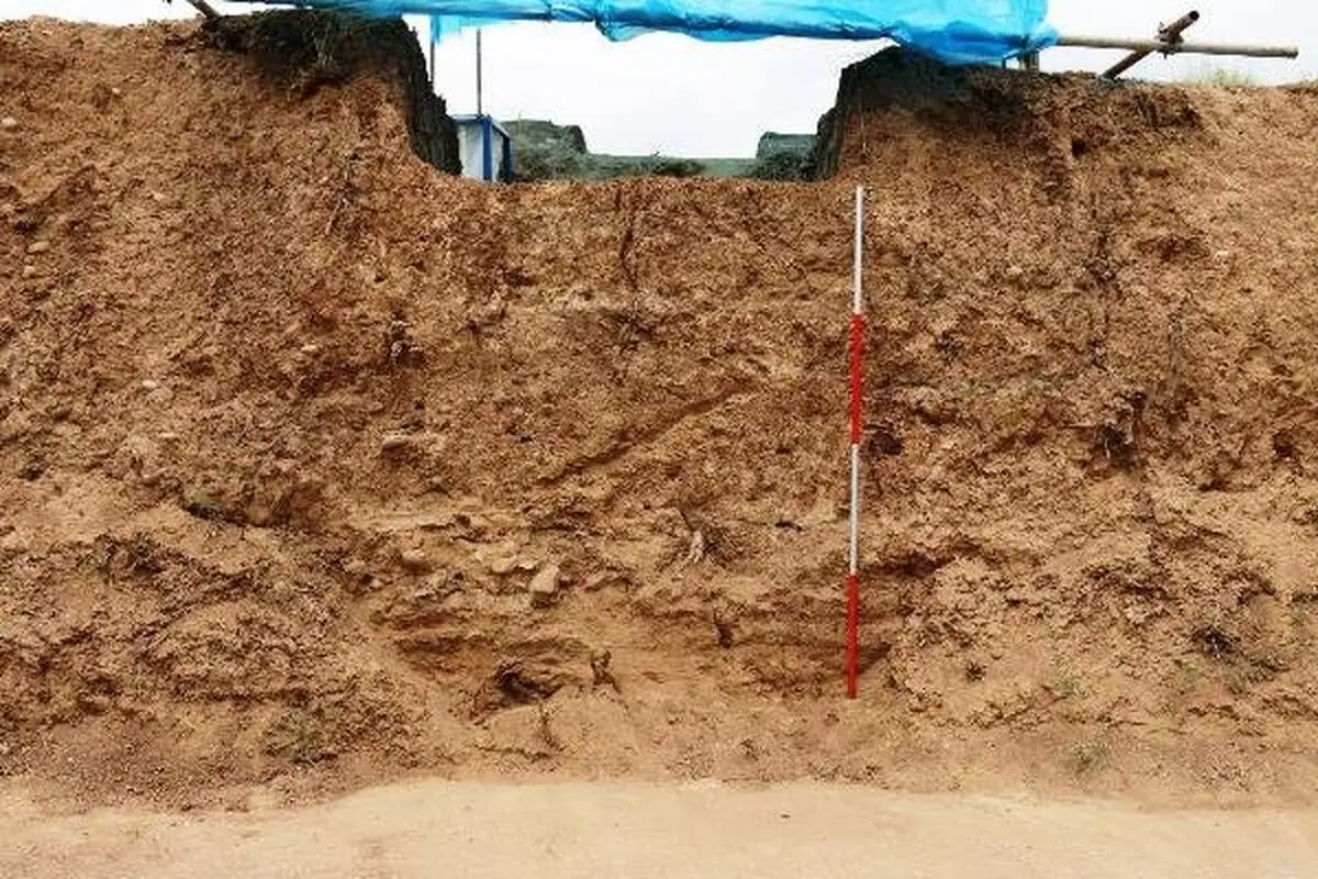 کشف اسکلت‌های ساسانی در تپه پوستچی شیراز / تاریخ شیراز 6500 ساله شد