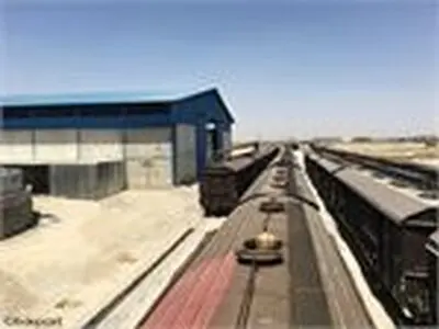  کاهش ۴۰ درصدی واردات جو با افزایش تولید داخلی 
