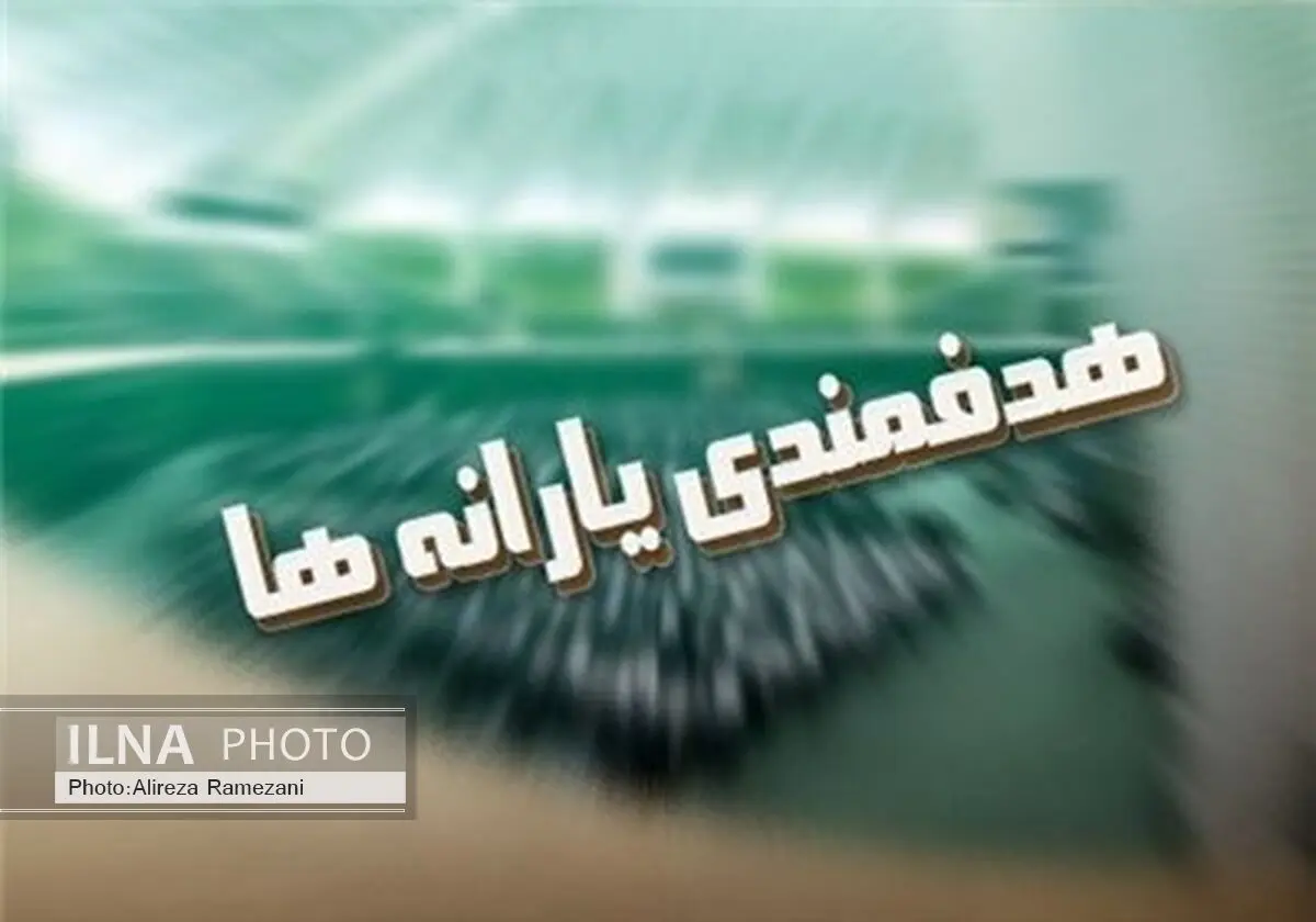 گزارشی از چگونگی عملکرد و نحوه اجرای قانون هدفمندی یارانه‌ها بررسی شد
