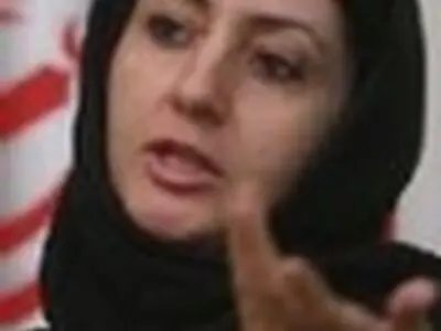 انصاری: خانواده تئاتر عروسکی مطالبات را پی‌گیری کند