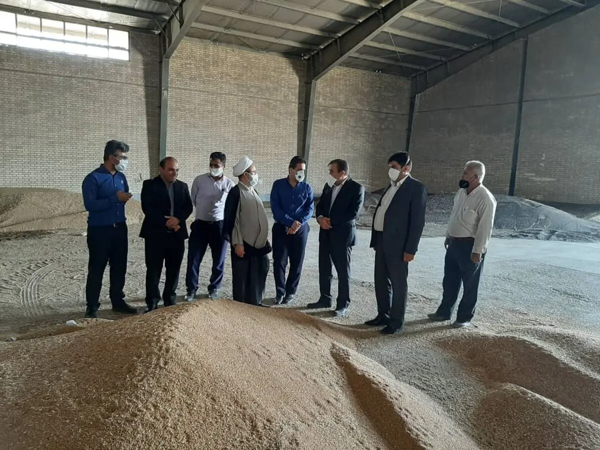 دپوی ۳۶ هزار تن گندم و ۶۰۰ تن کلزا در سیلوهای رامشیر