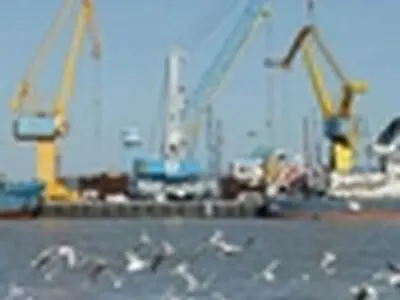 ورود به بنادر بازرگانی برای بخش خصوصی به صرفه نیست