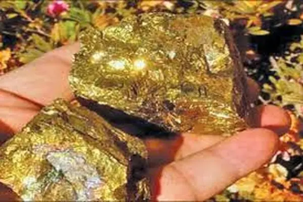 اکتشاف احتیاطیات کبیرة من الحدید والذهب غرب ایران