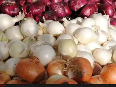 بار عرضه پیاز کشور بر دوش اصفهان است/ پیاز کیلویی 3800 تومان شد