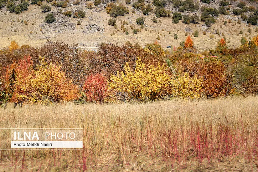  طبیعت پاییزی روستای سرسختی علیا