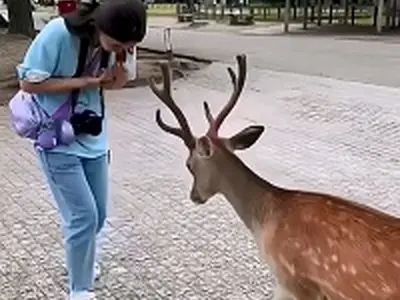 asdasd