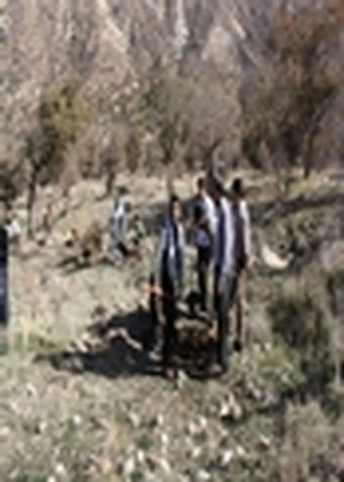 آغاز عملیات اجرایی طرح جنگل‌داری در سطح ۳۰۰ هکتار در شهرستان ایلام