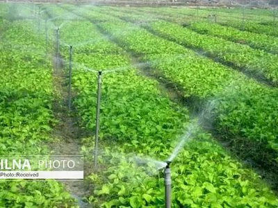 بهبود معیشت کشاورزان با کشاورزی صادرات محور