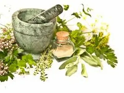 گیاهان دارویی که باید همیشه در خانه داشته باشید
