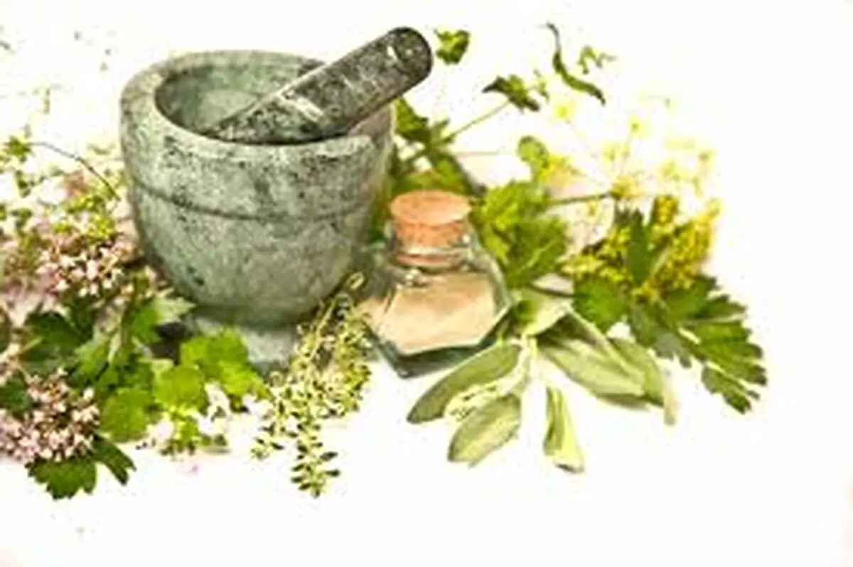 کلکسیون گیاهان دارویی دانشگاه محقق اردبیلی افتتاح شد