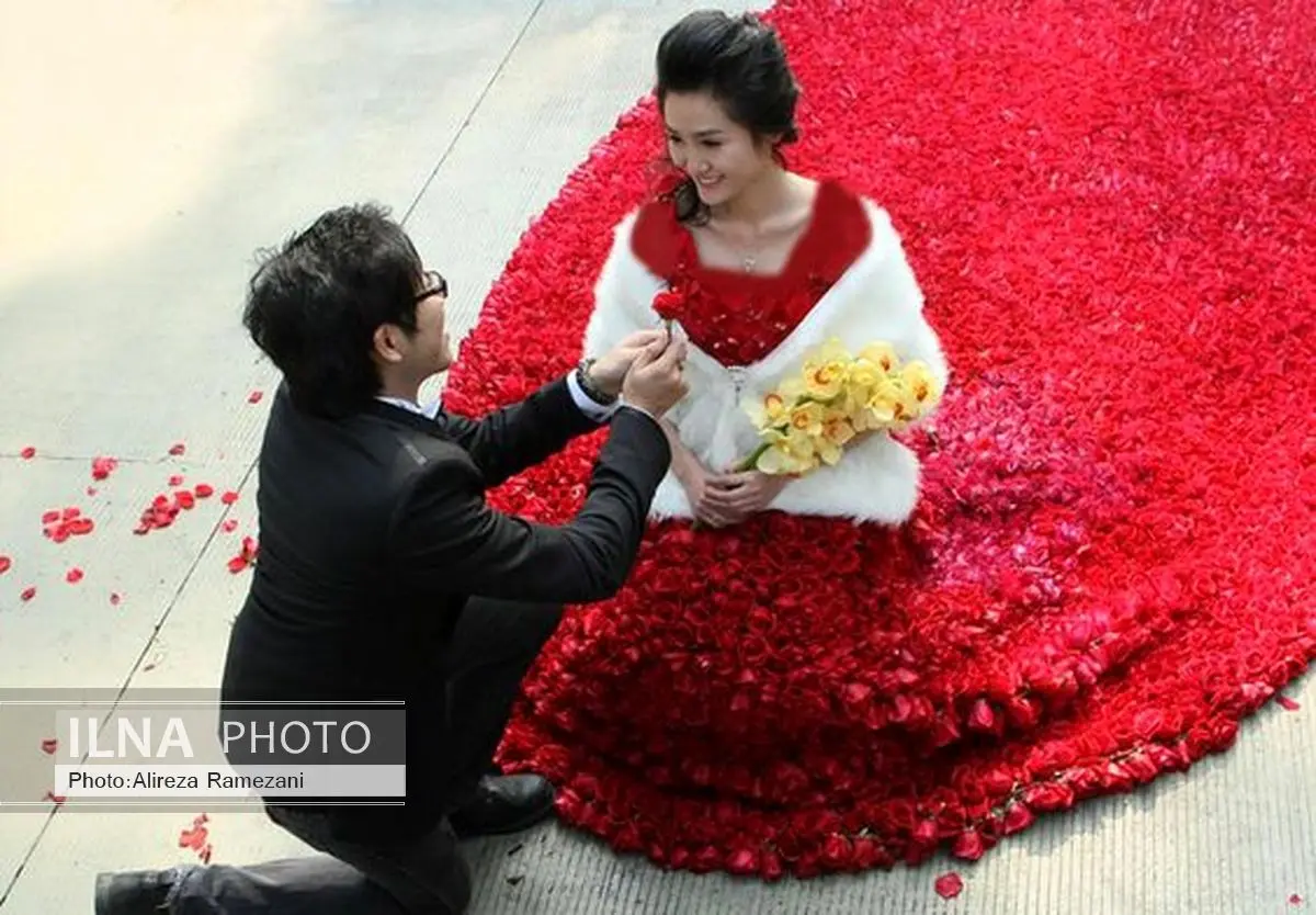 عجیب‌ترین خواستگاری‌های جهان +تصویر 