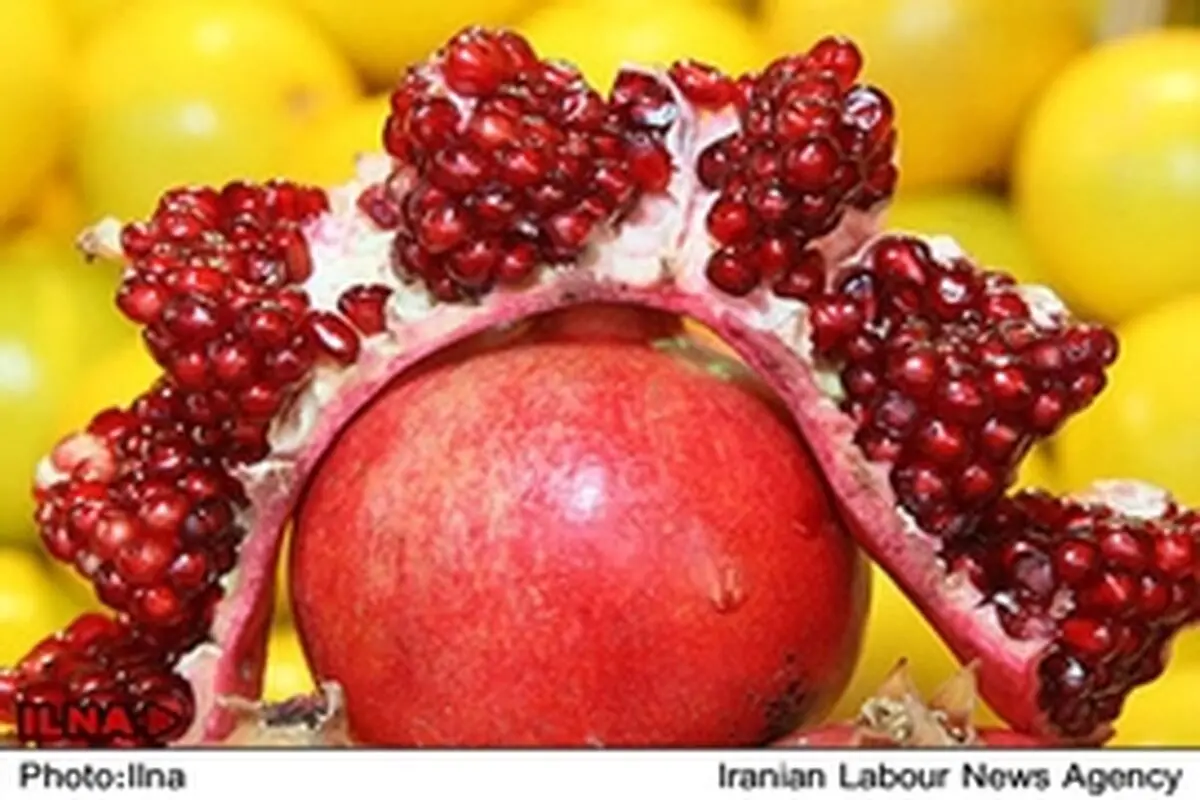 یلدا یعنی شادمانی از دقیقه‌ای بیشتر با هم بودن