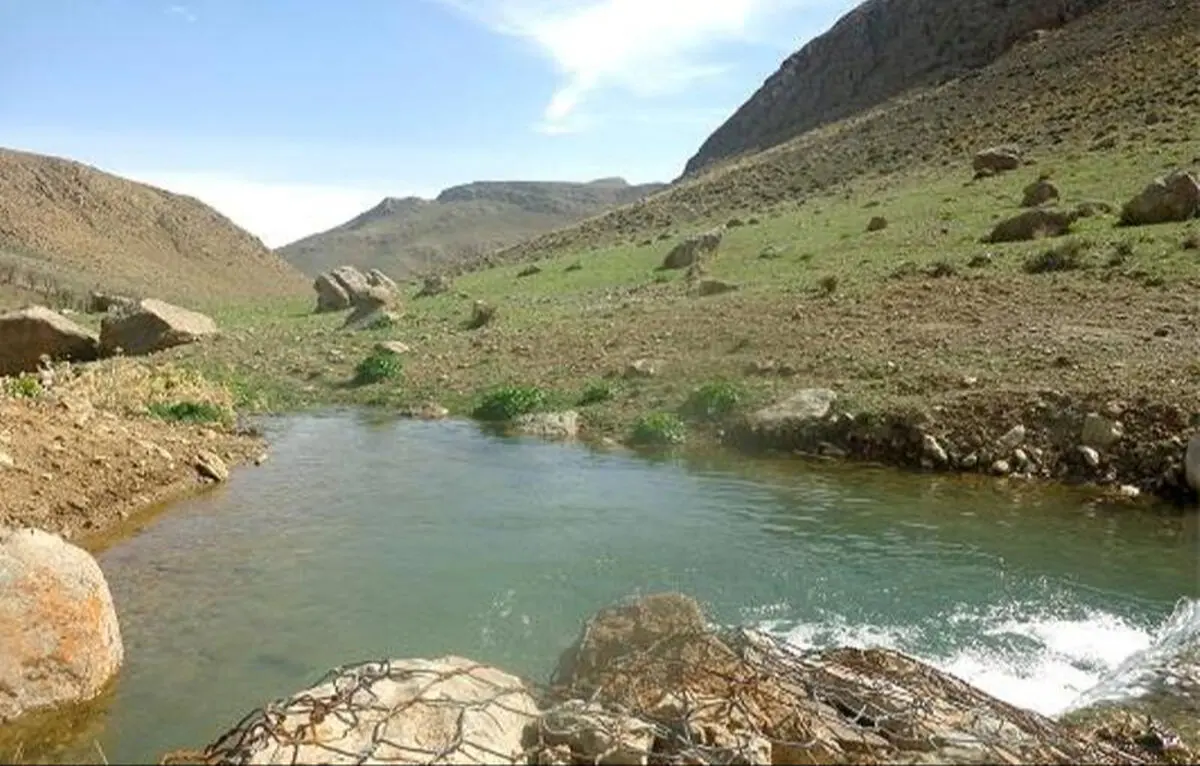 کشت برنج و چغندرقند موجب افت بیشتر آبخوان‌ها و نشست زمین می‌شود
