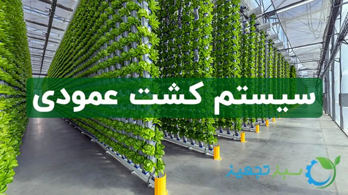 کشت عمودی چیست و چه مزایایی دارد؟ راهنمای صفر تا صد راه اندازی کشاورزی کشت عمودی