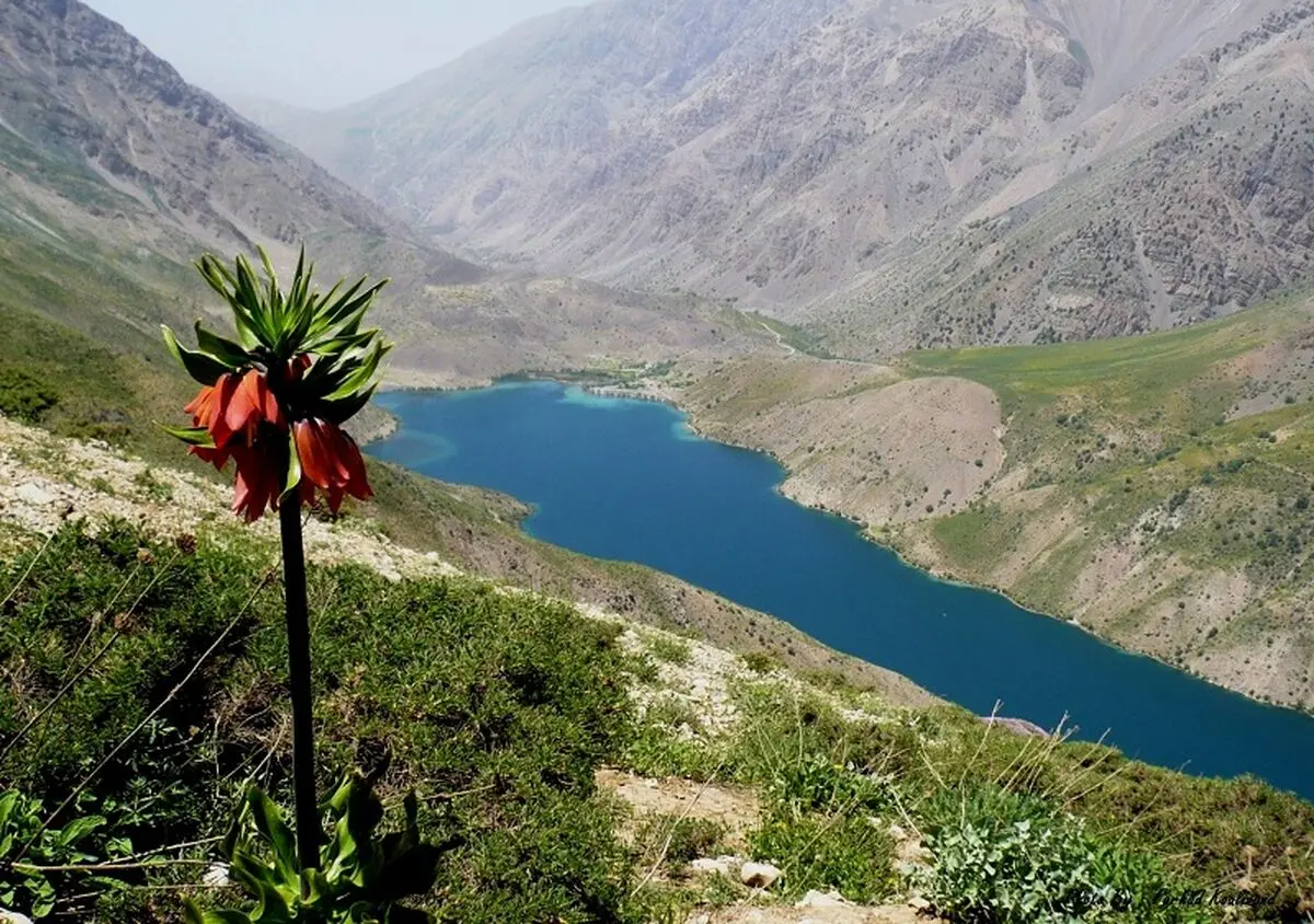 نجات گردشگر کرمانشاهی در دریاچه گهر