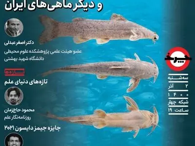 ماهی علی دایی و ماهی‌های ایرانی زیر ذره‌بین «چرخ» 