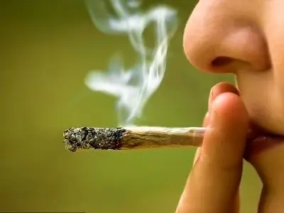 گل موجود در ایران با قارچ و کپک مخلوط شده است