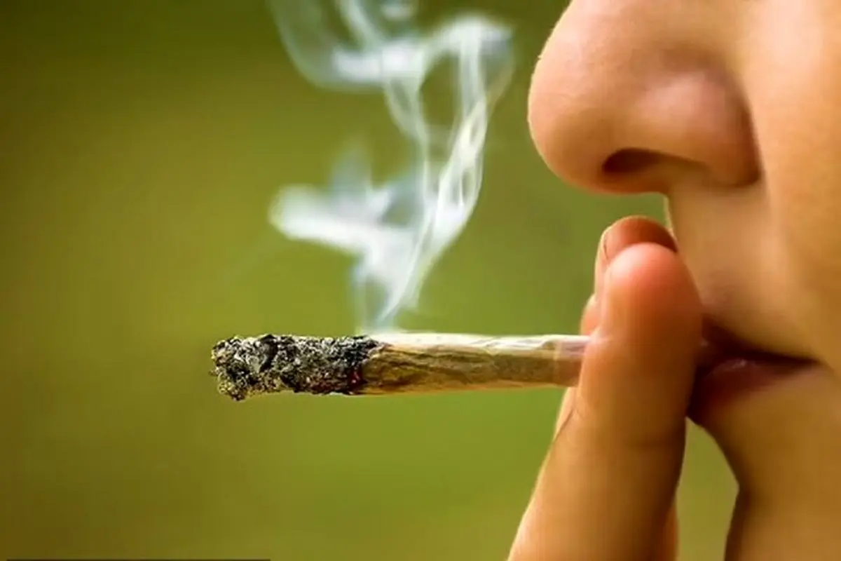 گل موجود در ایران با قارچ و کپک مخلوط شده است