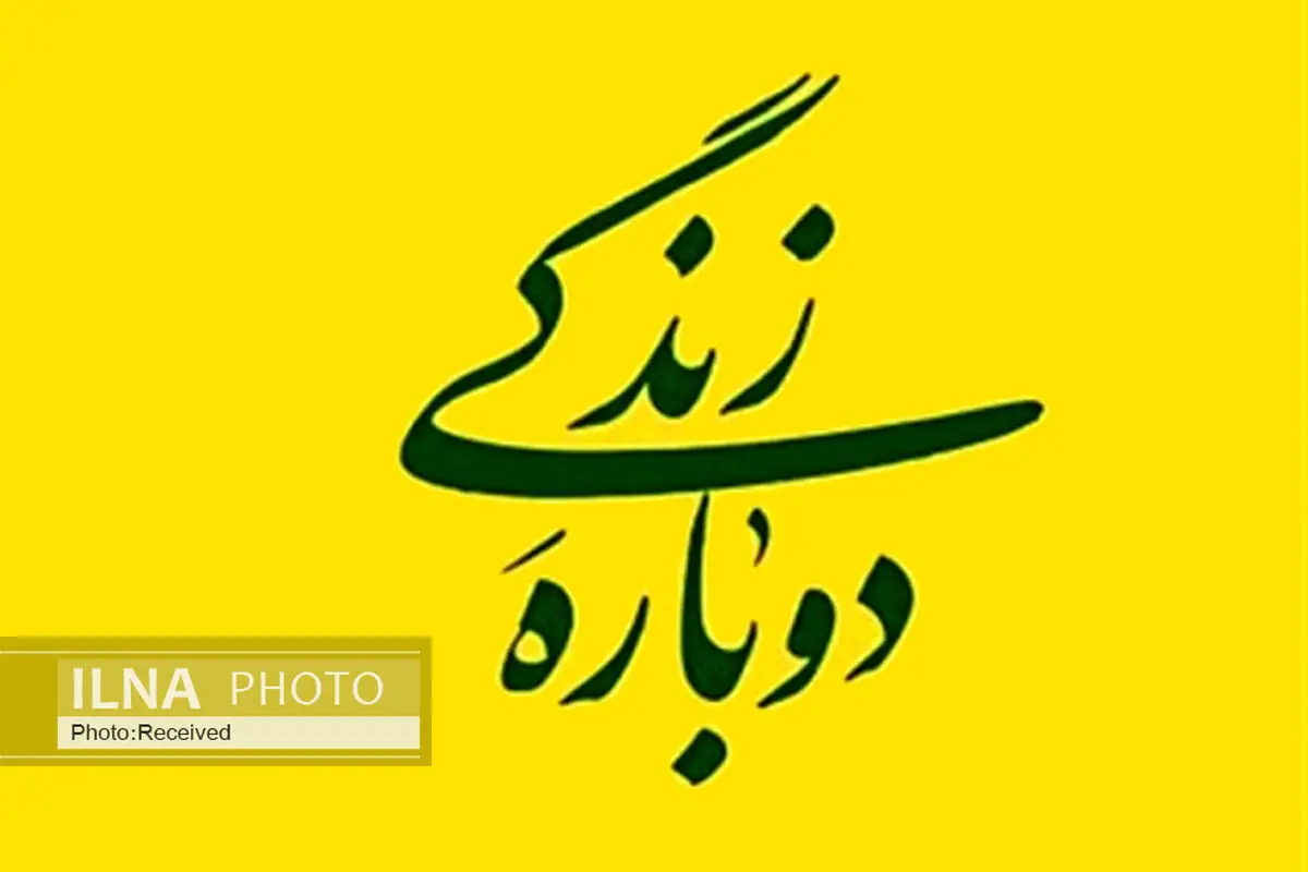 روایت خانواده‌هایی که بدون نگرانی همیشگی از مشکلات می‌گویند/ چقدر از مشکلات را می‌توان زیر سقف خانواده حل کرد؟