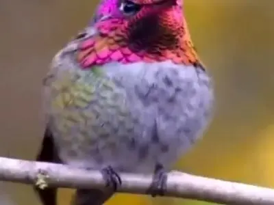 asdasd