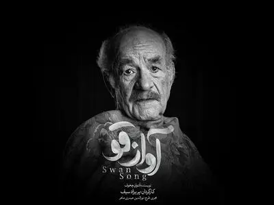 سعید پورصمیمی در ایرانشهر روی صحنه رفت