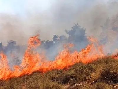 وقوع حادثه آتش‌سوزی در مراتع و پوشش گیاهی ارتفاعات هزارمسجد خراسان رضوی