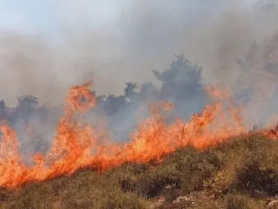 وقوع حادثه آتش‌سوزی در مراتع و پوشش گیاهی ارتفاعات هزارمسجد خراسان رضوی