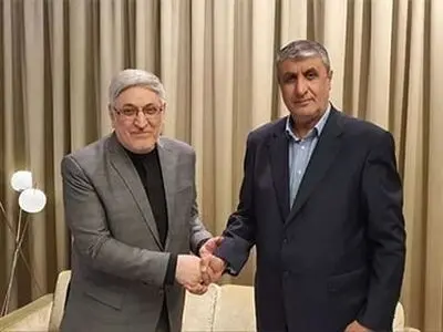 إسلامي في فيينا:‌ لقاء غروسي من أهدافي المهمة لهذه الزيارة