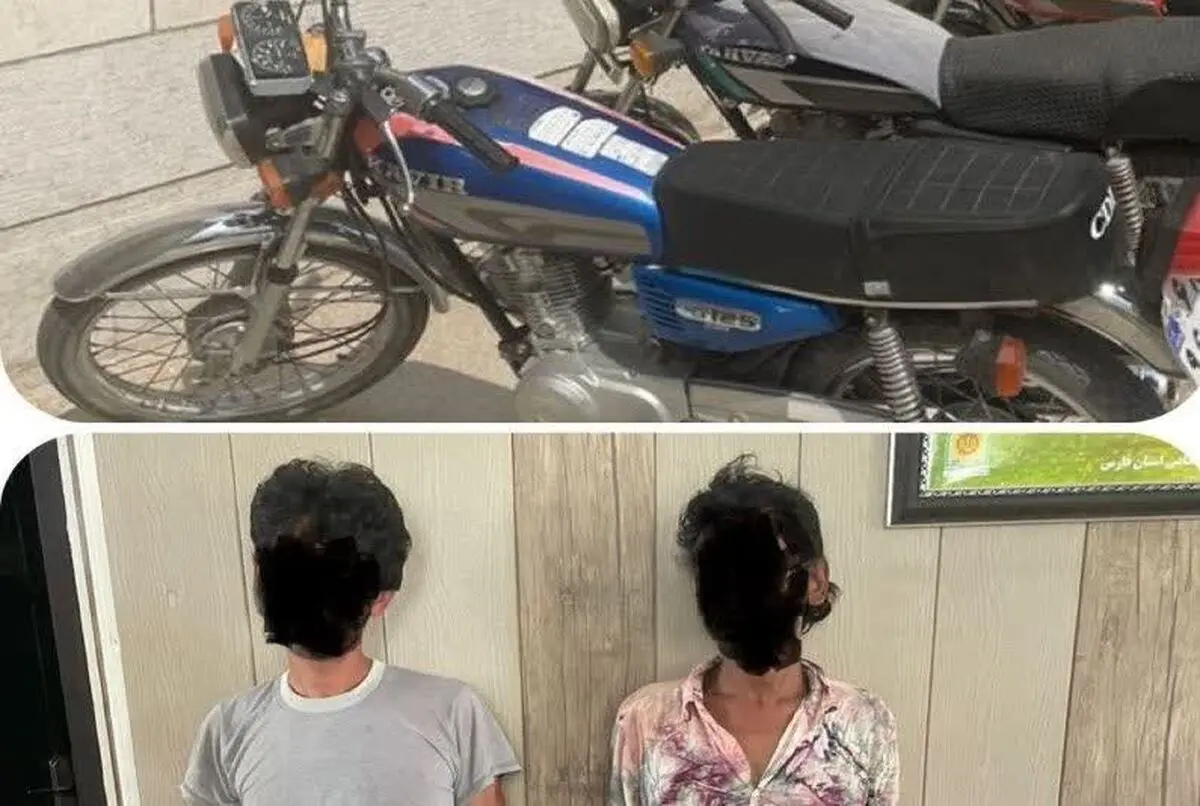 دستگیری سارقان در لامرد