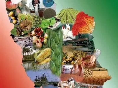 افزایش 15 برابری اعتبارات نگهداری زیرساخت‌های تعاون روستایی مرکزی