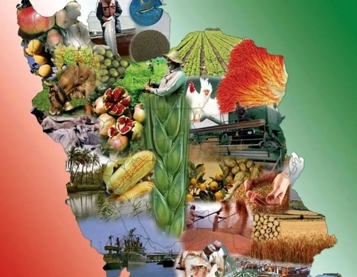 افزایش 15 برابری اعتبارات نگهداری زیرساخت‌های تعاون روستایی مرکزی