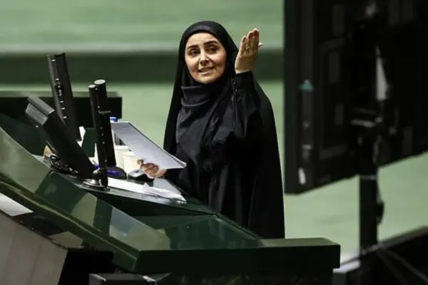 محورهای استیضاح باید با استدلال و منطق باشد/ ۷، ۸ ماهی که صادق وزیر شده‌ را با مدت مشابه وزیر دولت قبل مقایسه کنید