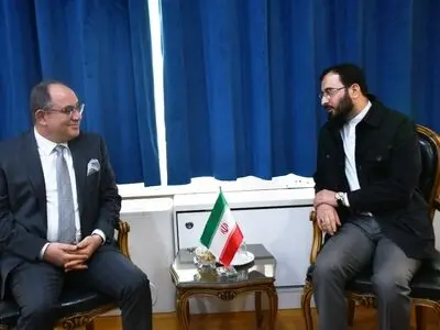 نقاط مشترک تمدنی زیادی بین دو کشور وجود دارد/ تونس آماده یادگیری صنعت فرش ایران