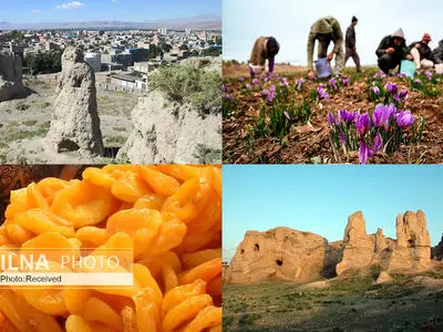 به دیار مادها بروید و طعم طلای سرخ را بچشید