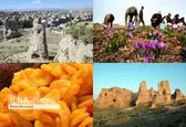 به دیار مادها بروید و طعم طلای سرخ را بچشید