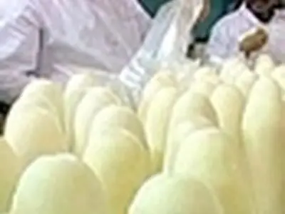 بیکاری ۱۰۰ کارگر با تعطیلی موقت «قند کرج»