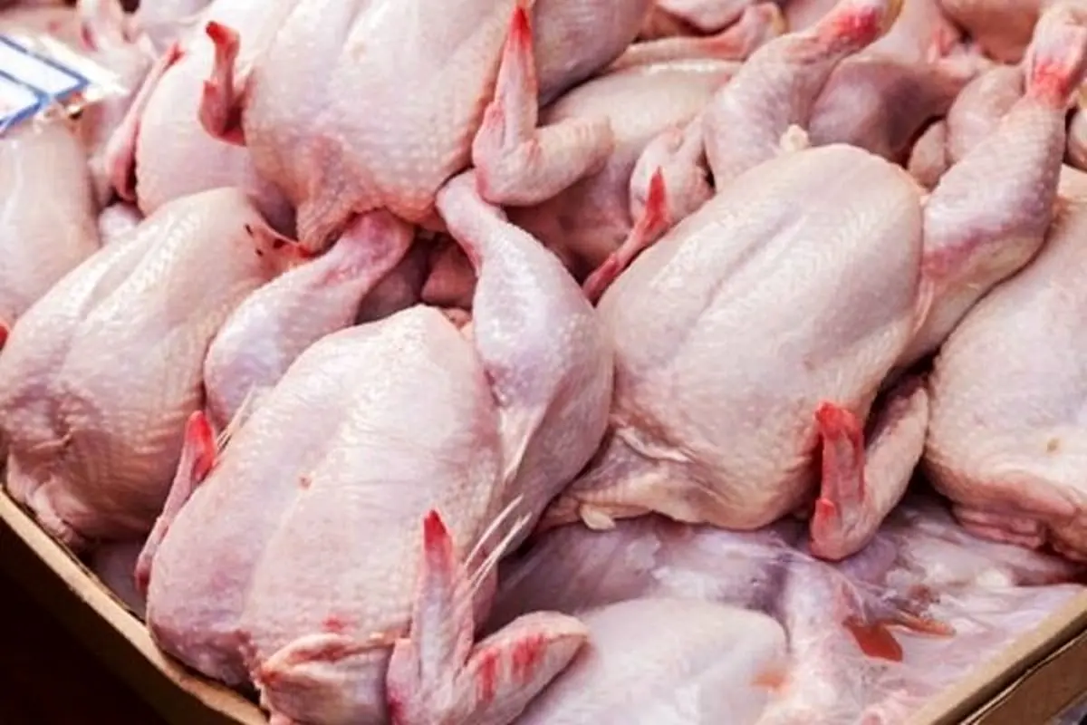 عرضه گوشت مرغ بالاتر از قیمت مصوب تخلف است
