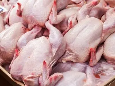 عرضه گوشت مرغ بالاتر از قیمت مصوب تخلف است