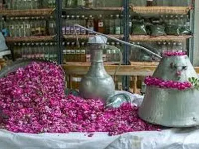 اولین جشنواره گل و گلاب در شهرستان فرخشهر برگزار شد