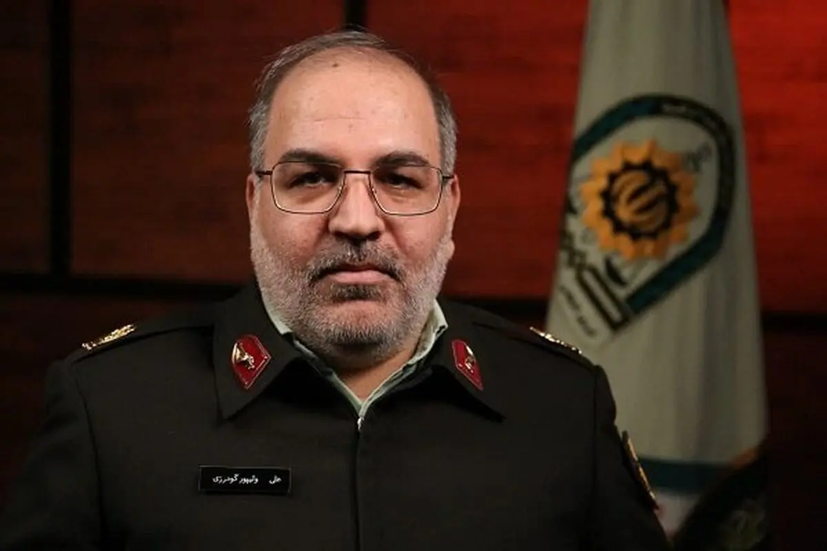 بازداشت و شناسایی تعدادی سارق با صدور دستور تیر سردار رادان

