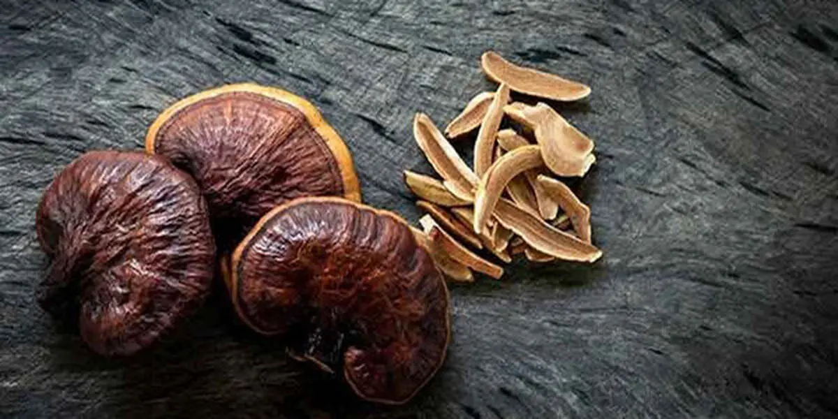 قارچ جان‌افزا می‌تواند جایگزین انسولین و داروهای کاهنده قند خون شود؟