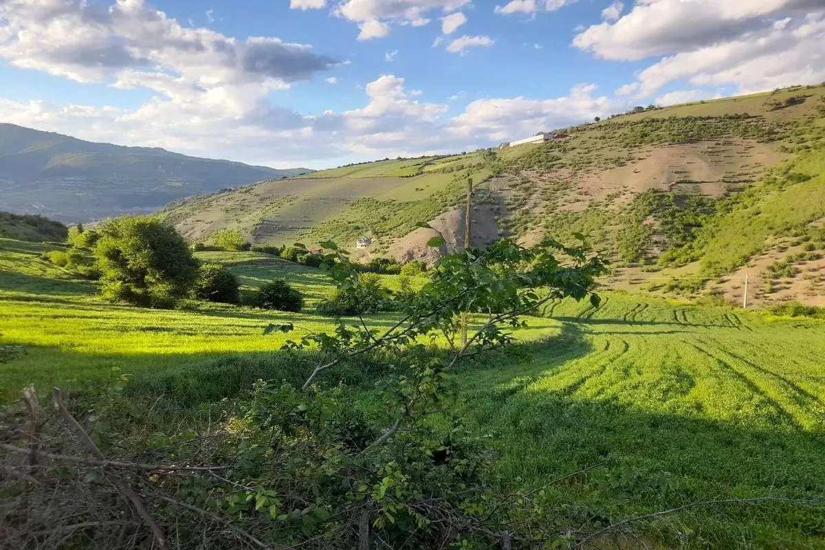 ماندگاری هوای گرم و مرطوب در گیلان