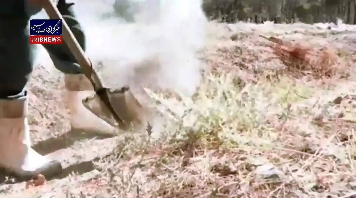 درختان پارک چیتگر از بیآبی در صف مرگ هستند + فیلم