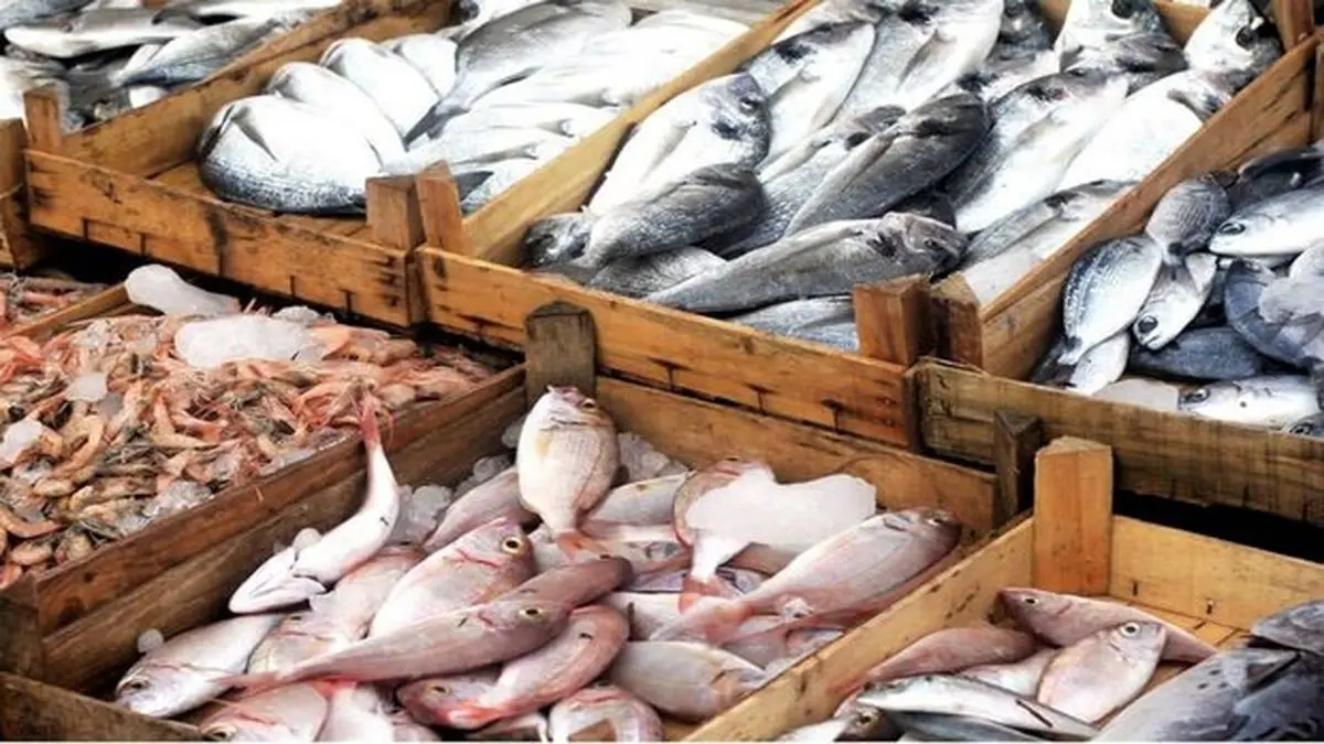 Iran exports over 3,000 tons of trout in Q1