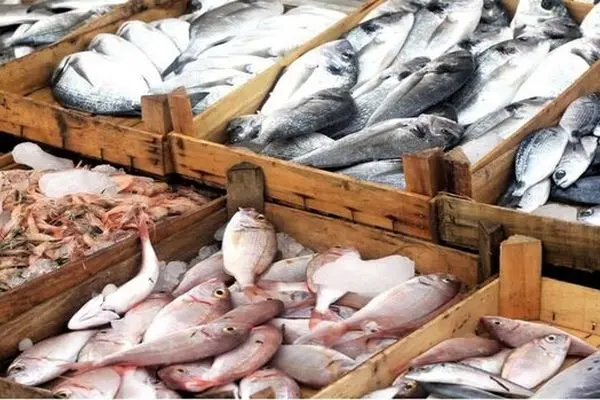 Iran exports over 3,000 tons of trout in Q1