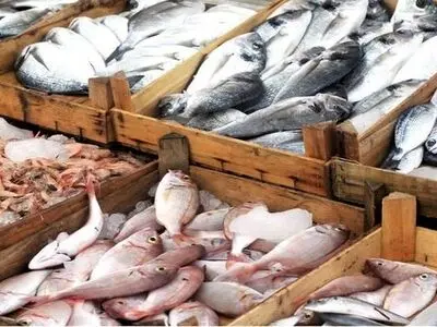 Iran exports over 3,000 tons of trout in Q1