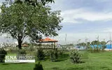 افزایش دما، نیاز آبی درختان را افزایش می‌دهد